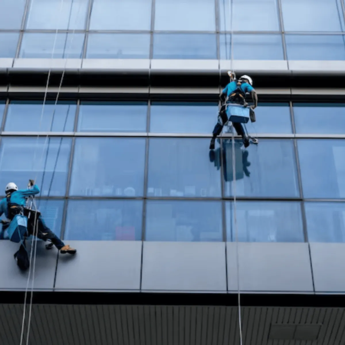 Bancos y edificios gubernamentales