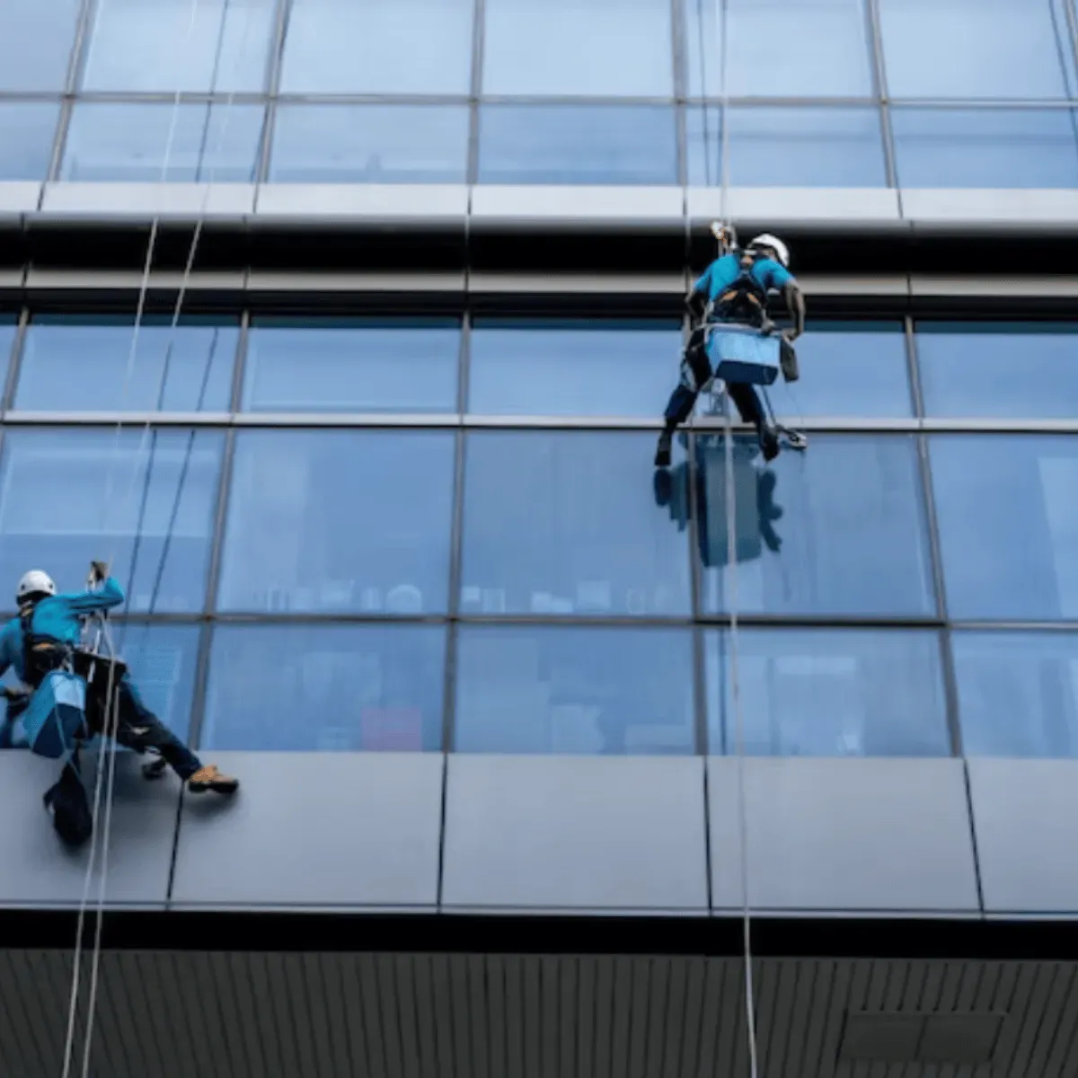 Bancos y edificios gubernamentales